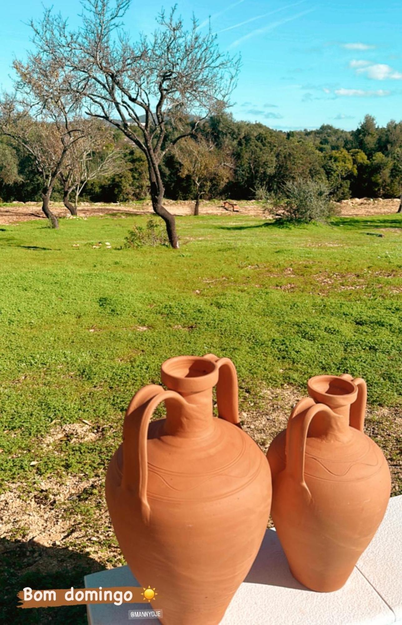 Pechão La Quinta Da Liberdade - Ferme De Charme En Algarve 빌라 외부 사진