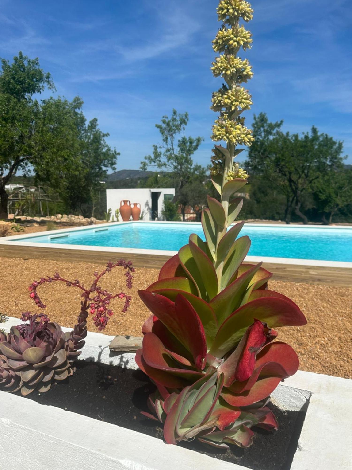 Pechão La Quinta Da Liberdade - Ferme De Charme En Algarve 빌라 외부 사진