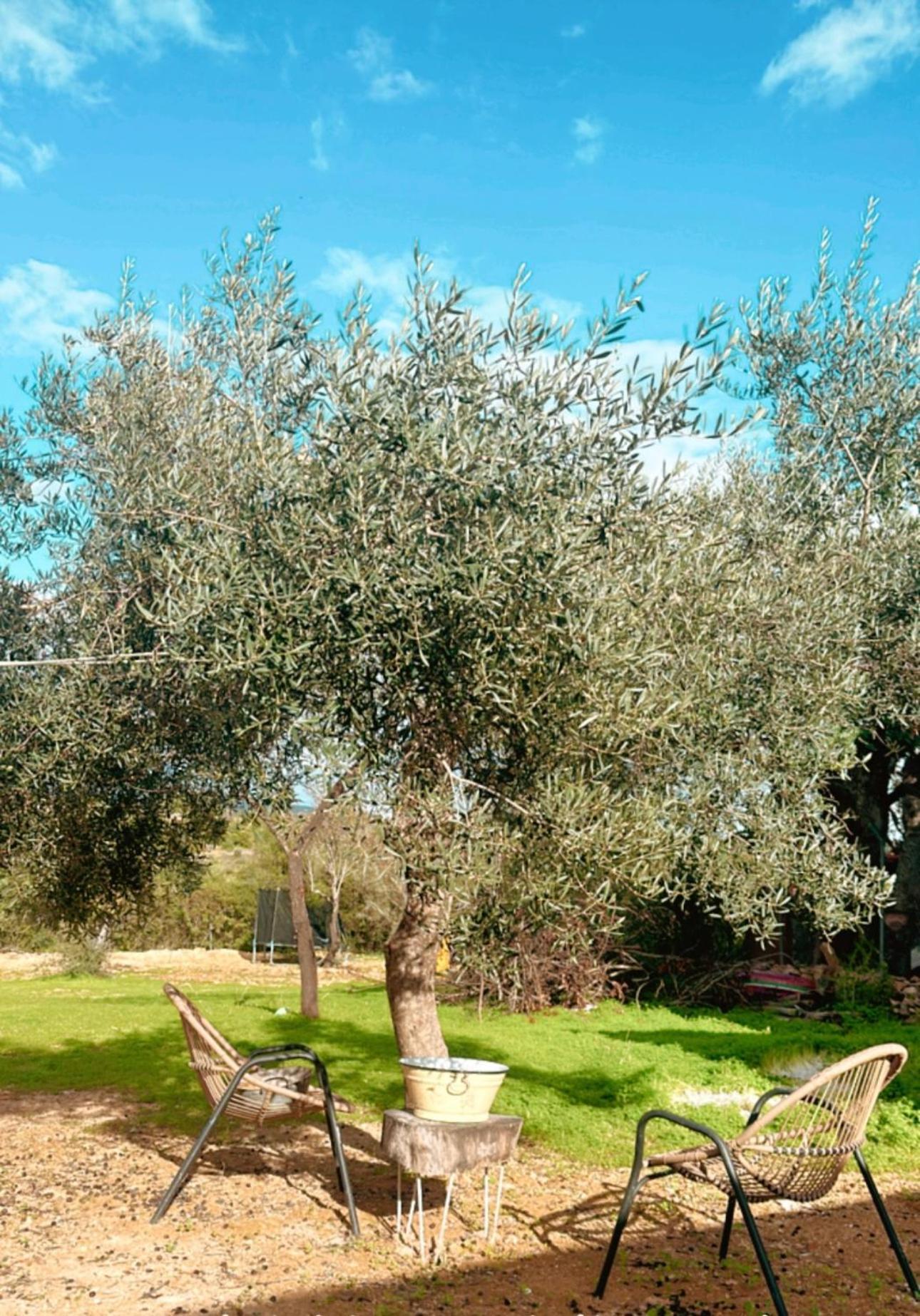 Pechão La Quinta Da Liberdade - Ferme De Charme En Algarve 빌라 외부 사진