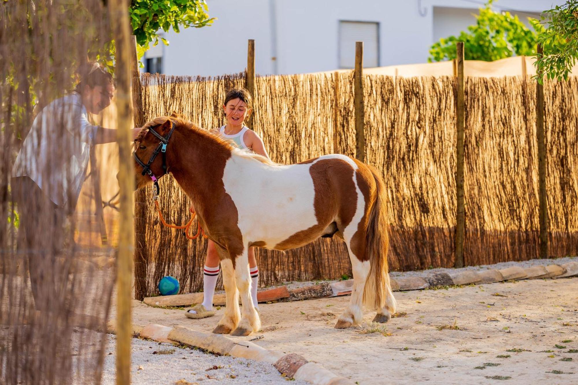 Pechão La Quinta Da Liberdade - Ferme De Charme En Algarve 빌라 외부 사진