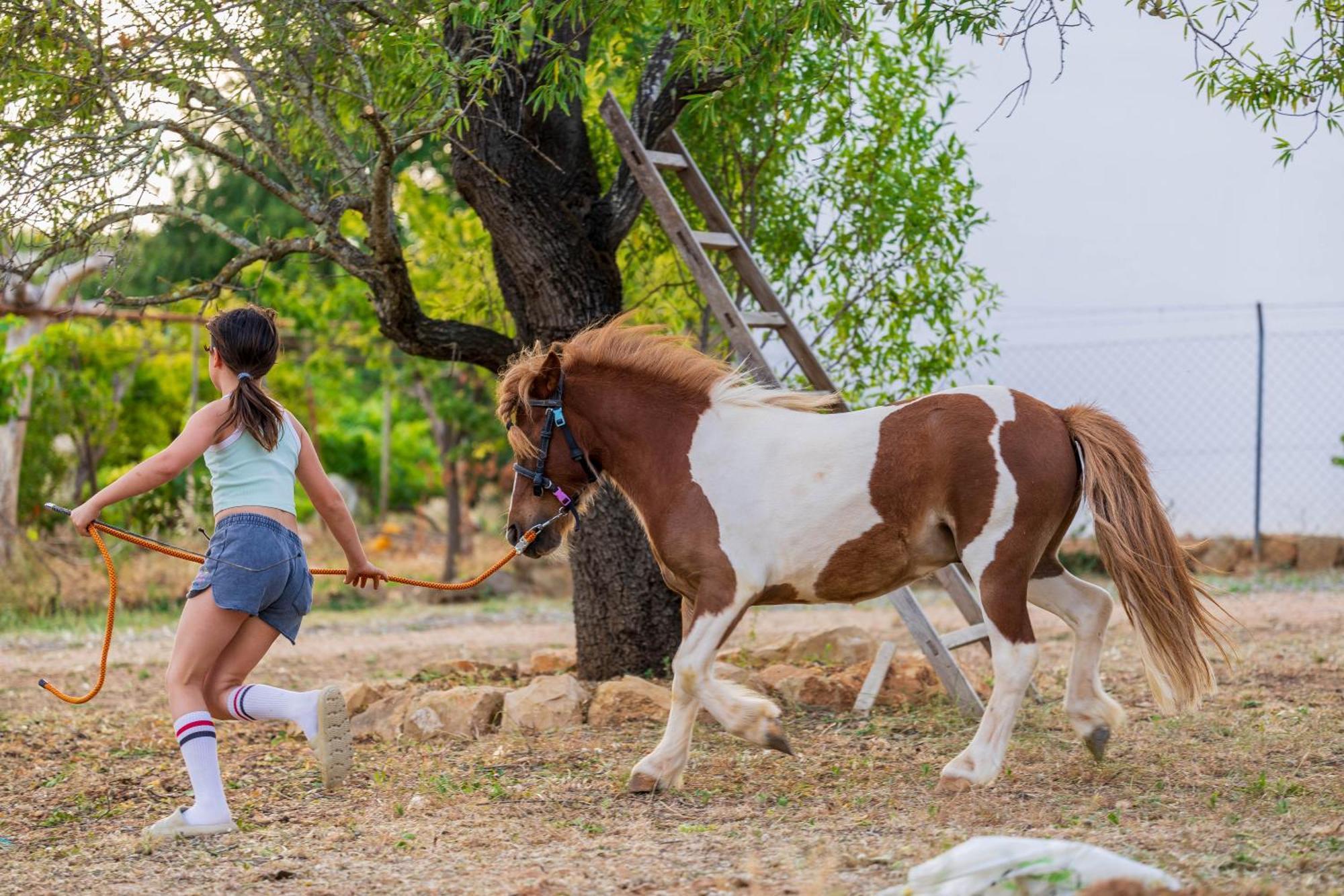Pechão La Quinta Da Liberdade - Ferme De Charme En Algarve 빌라 외부 사진